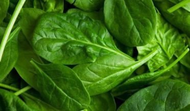 Spinach better health